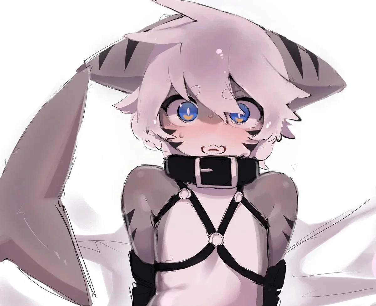 Tiger Shark [WEIRDO]