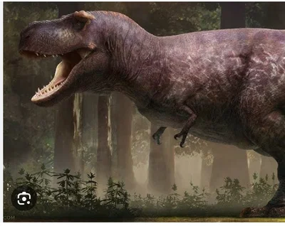 t rex 