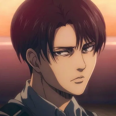 AOT: Captain Levi Ackerman ☕️🧹🧼