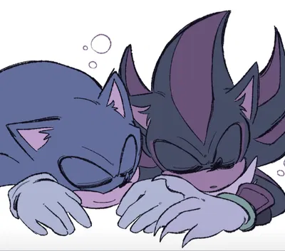 Sonic and Shadow