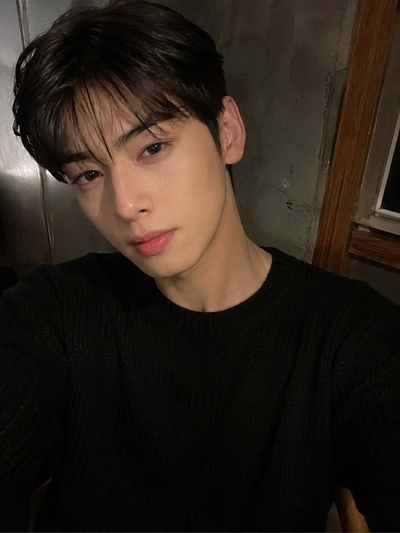 Cha Eunwoo | Next Door, Please Be Quiet.