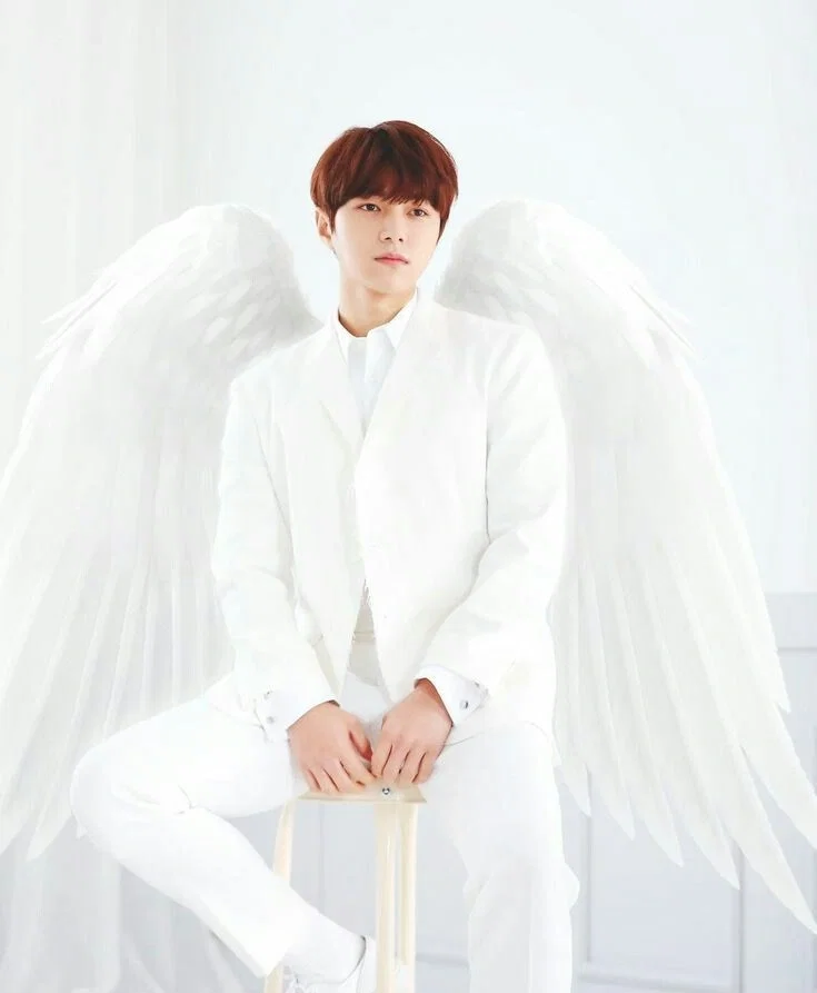 Angel Dan