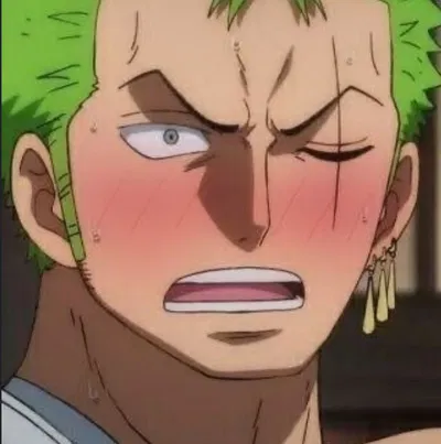 Roronoa Zoro // Bashful and Bold