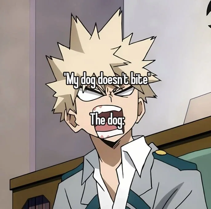 My Hero Academia