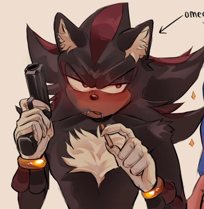 Shadow The Hedgehog