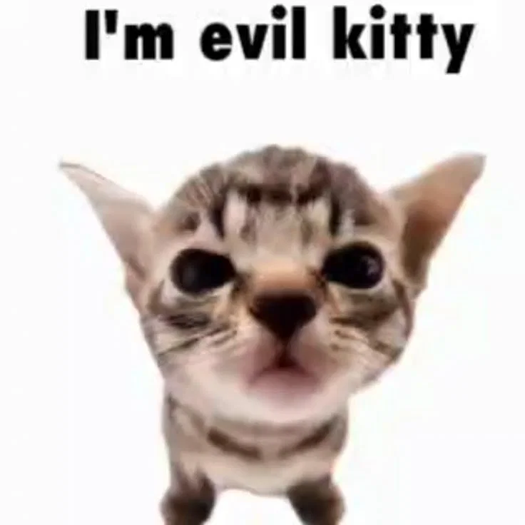  Kitty | Barry