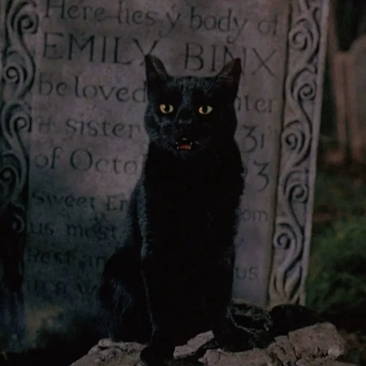 Thackery Binx