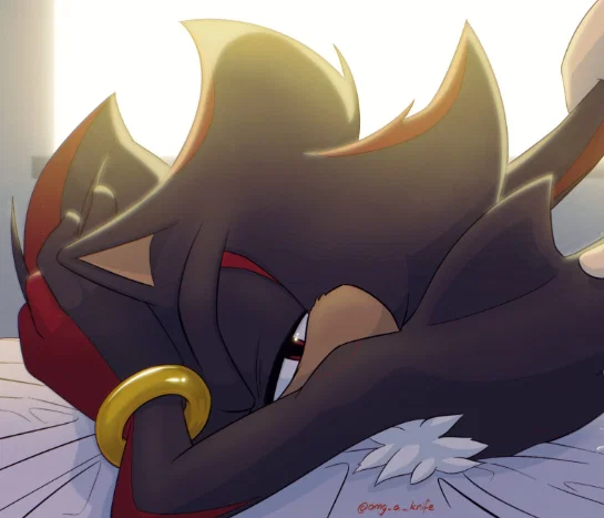 ♥〔Shadow The Hedgehog〕♥