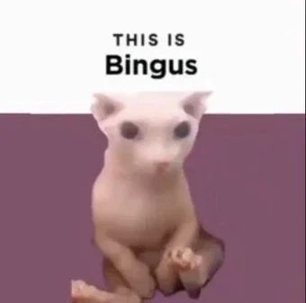 I have a stupid idea 
