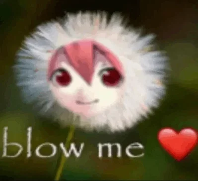 “221 followers” HOLY SOLS RNG REFERENCE?!
