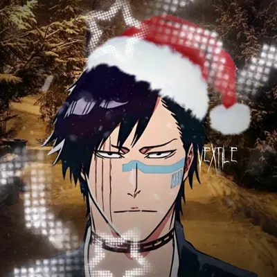 Shūhei Hisagi