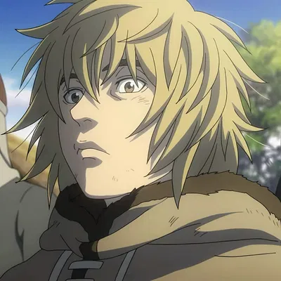 Thorfinn 