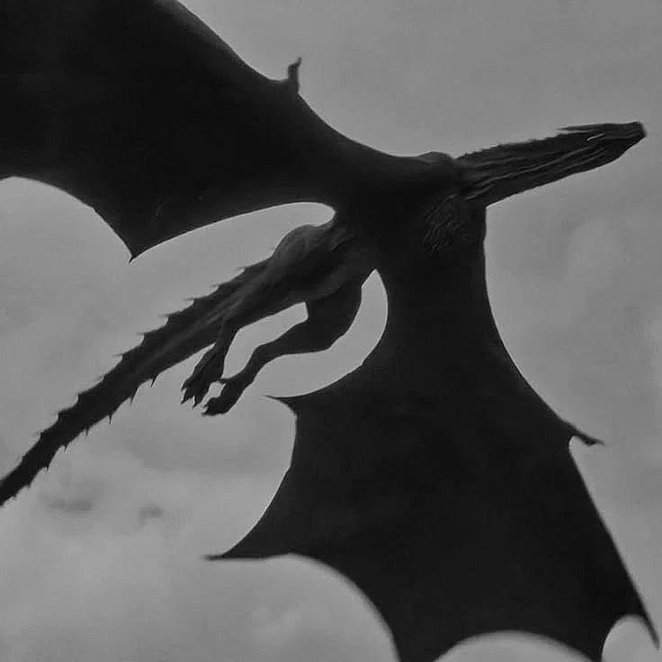 TF141 - Dragons