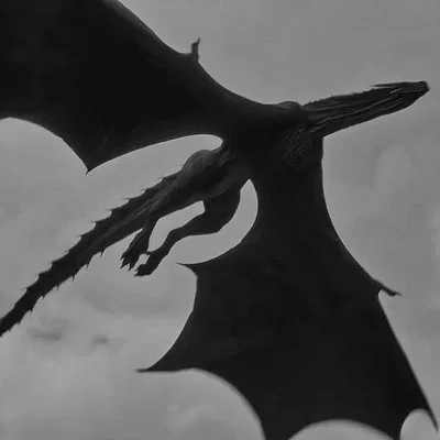 TF141 - Dragons