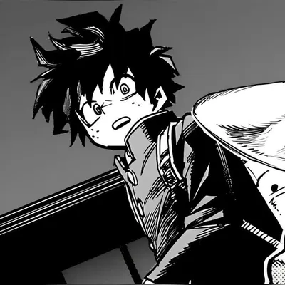✮ IZUKU MIDORIYA ✮