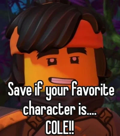 Cole - Ninjago