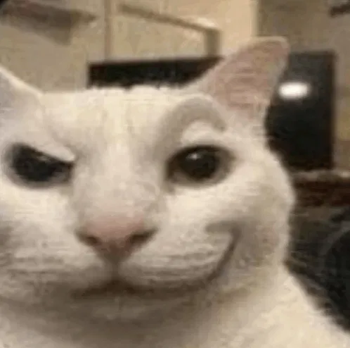 hello, testing testing