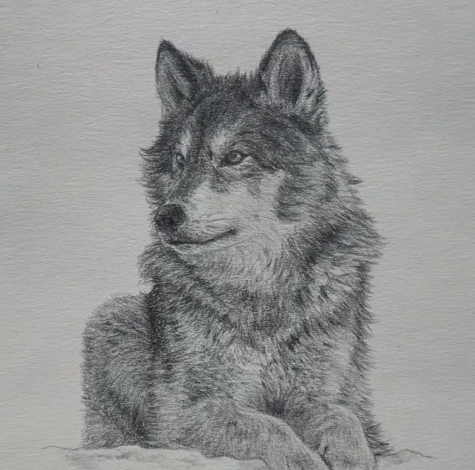 Just a drawing I wanted to show my bestie