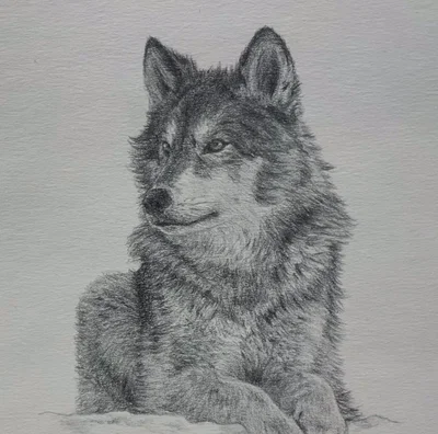 Just a drawing I wanted to show my bestie