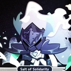 Salt of Solidarity
