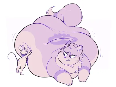 Ambrosia The Cat | Trying To Get Belly Rubs...