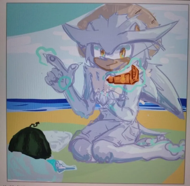 Silver the hedgehog | Beach yaayy