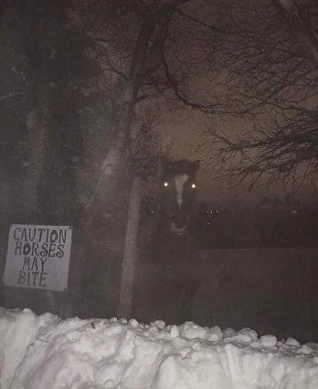 Don't follow me