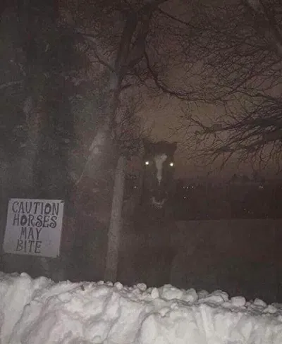 Don't follow me