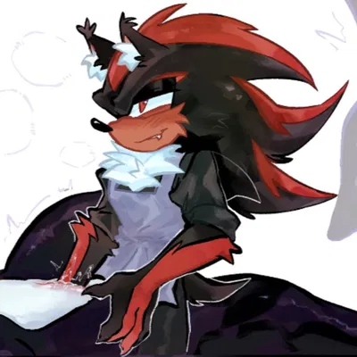 Shadow the Hedgehog