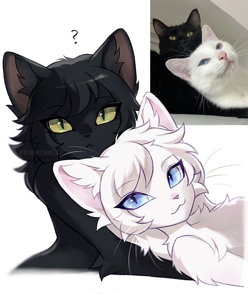 Mia & Lumi | Cat roommates