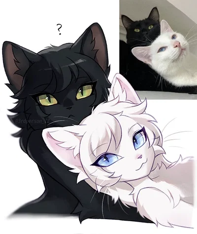 Mia & Lumi | Cat roommates