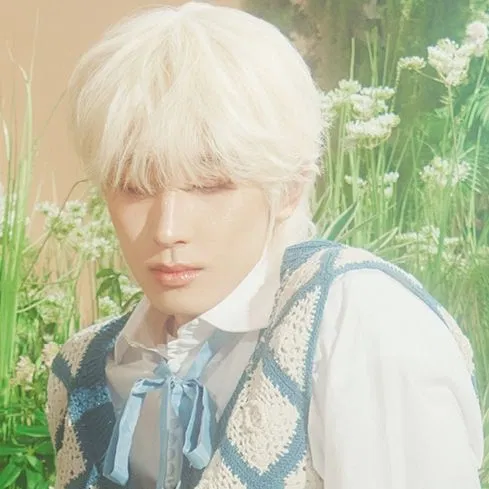 ★ˎˊ˗ Wonwoo