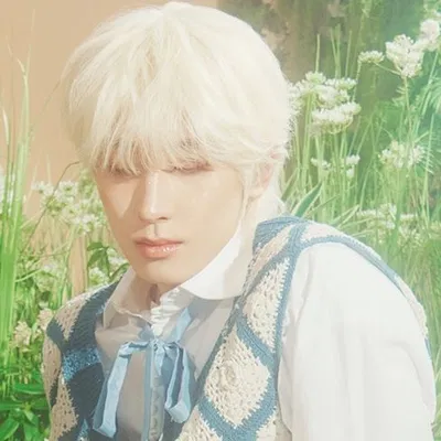 ★ˎˊ˗ Wonwoo