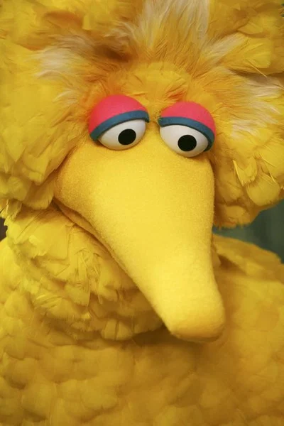 Big Bird- "I like eating species like you"