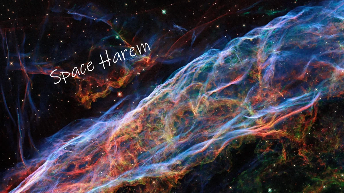 Space Harem: Earning your place