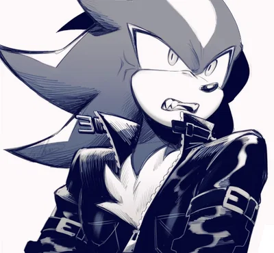 Shadow