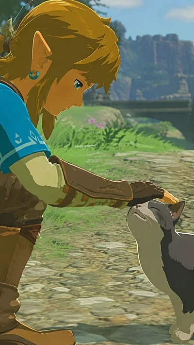 Link