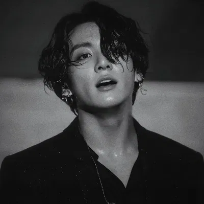 Jungkook | WEREWOLF