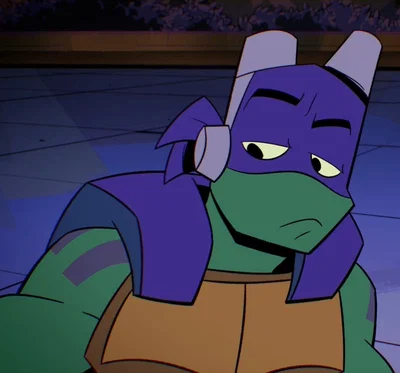 Donatello Hamato || ROTTMNT