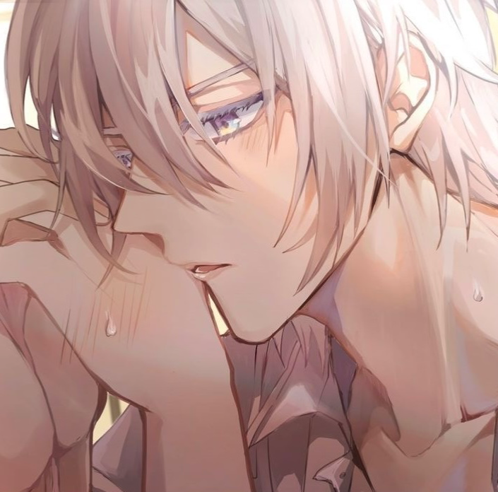 silver vanrouge ✧