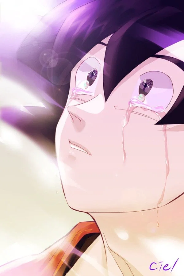 Son Goku (Future Saga)