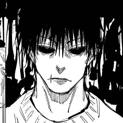 Toji fushiguro 