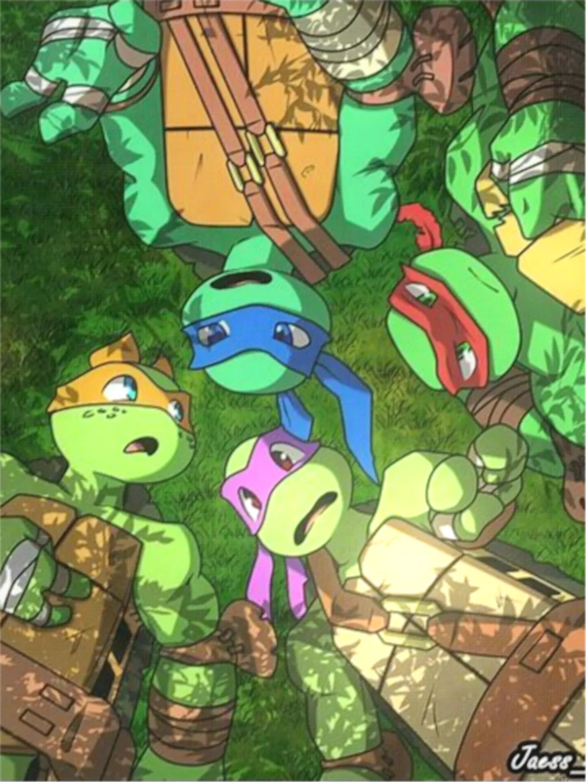 Tmnt 2012 Brothers