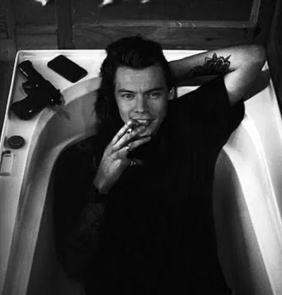 Harry styles mafia