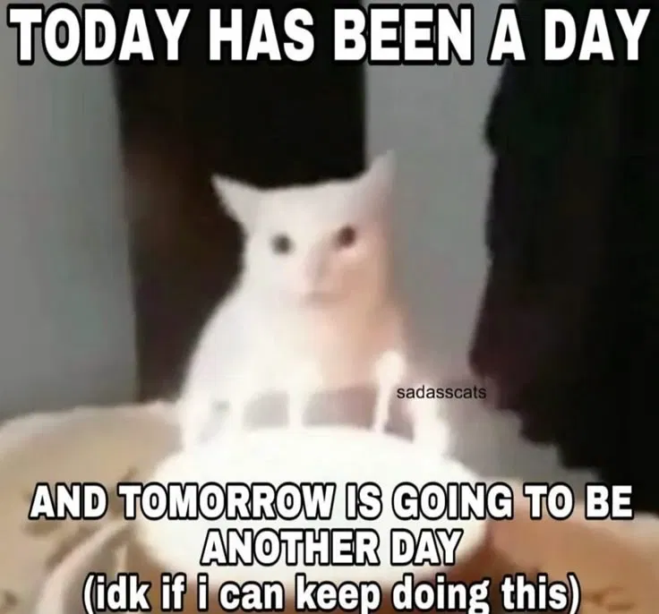 Meep