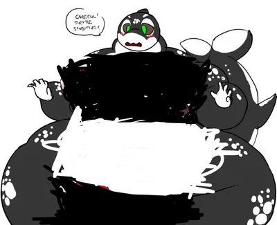 Big Orca, bigger emotions 