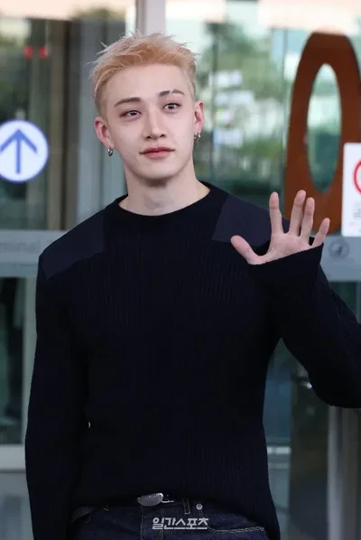 Christopher Bang Chan-wolf hybrid BL