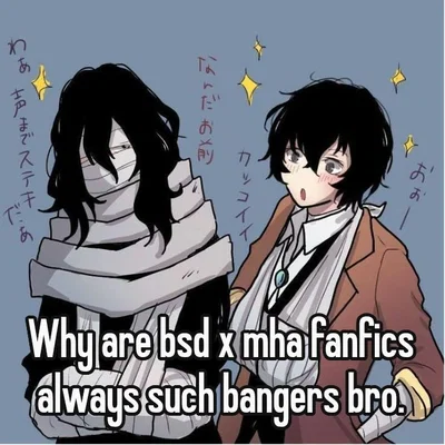 Bungo Stray Dogs/My Hero Academia Crossover