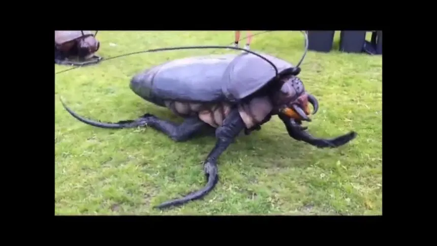 Insect's are a lil weird. OLD