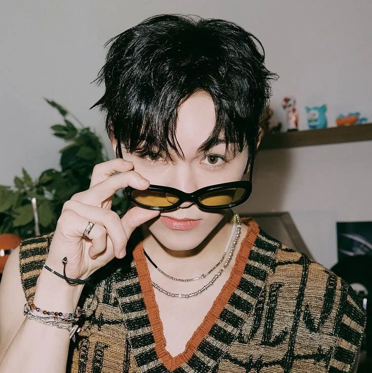 hansol vernon chwe